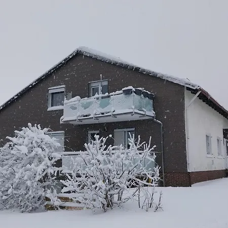 Harzstern