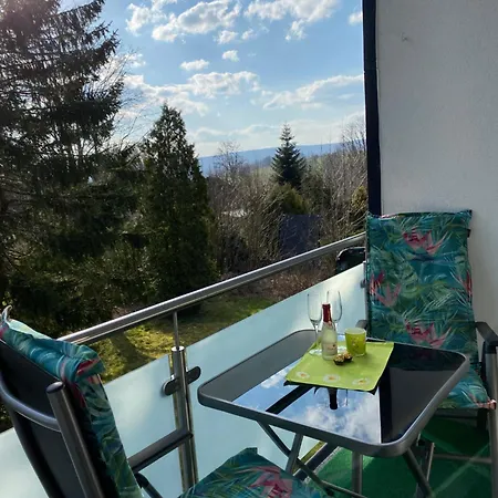 Apartment Harzstern Sankt Andreasberg